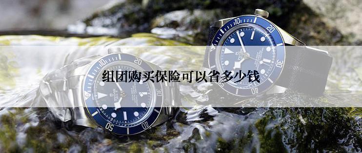 组团购买保险可以省多少钱