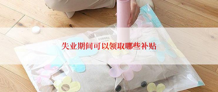 失业期间可以领取哪些补贴