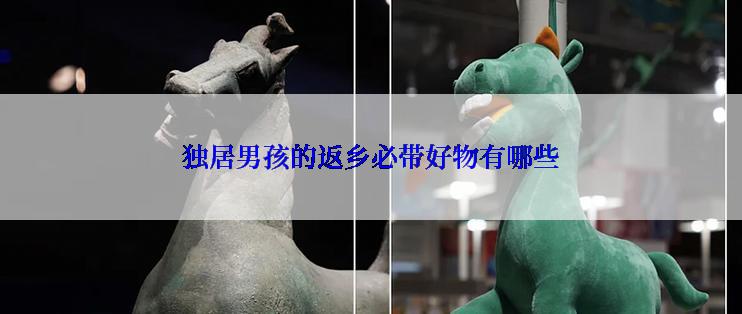 独居男孩的返乡必带好物有哪些