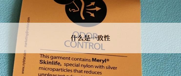 什么是一致性