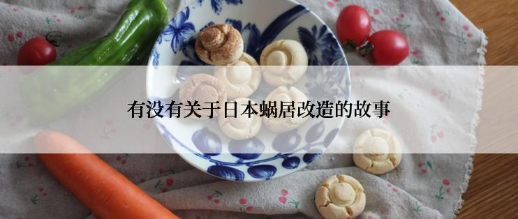 有没有关于日本蜗居改造的故事
