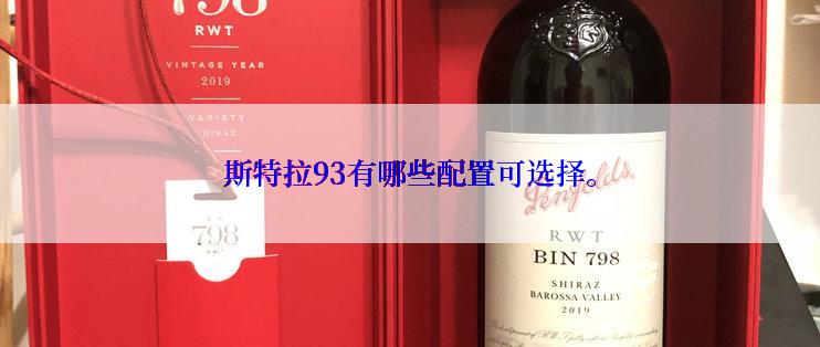 斯特拉93有哪些配置可选择。