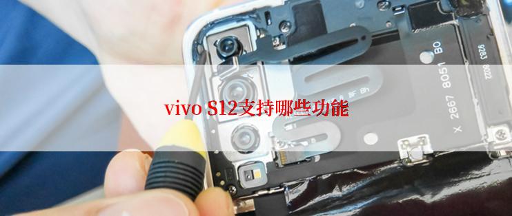 vivo S12支持哪些功能