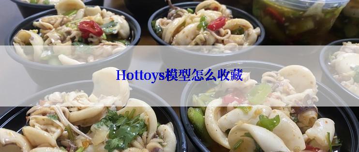 Hottoys模型怎么收藏
