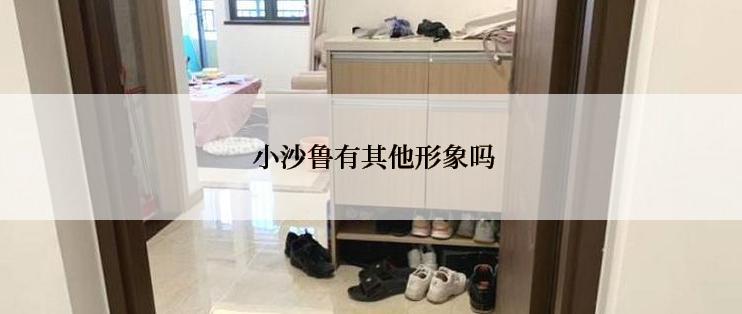  小沙鲁有其他形象吗