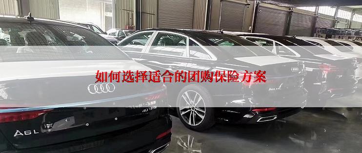 如何选择适合的团购保险方案