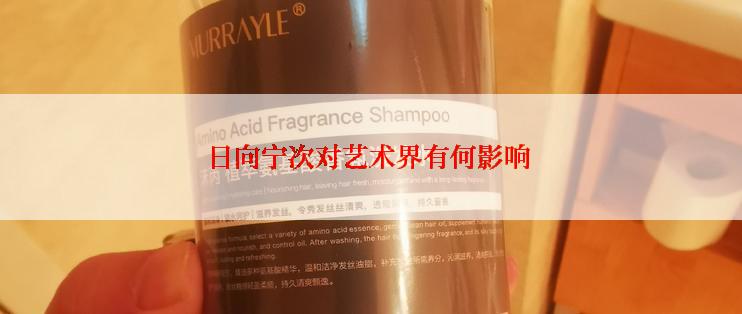 日向宁次对艺术界有何影响