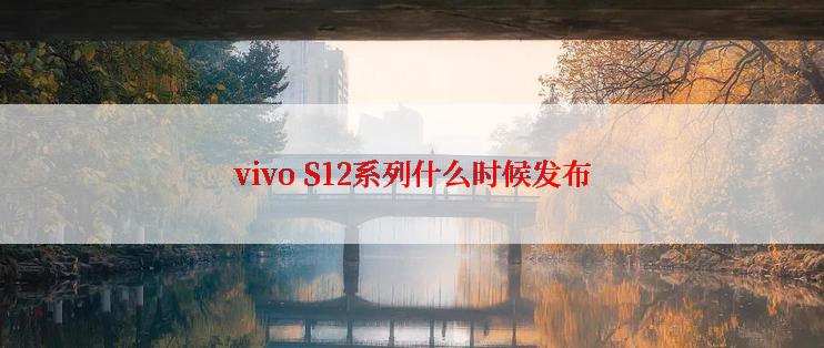vivo S12系列什么时候发布