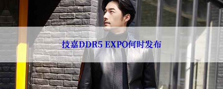 技嘉DDR5 EXPO何时发布