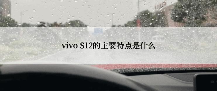 vivo S12的主要特点是什么
