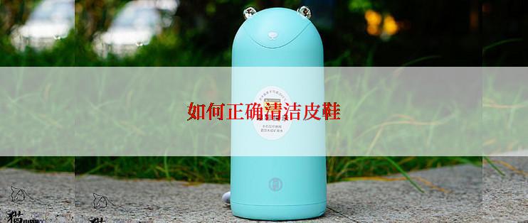 如何正确清洁皮鞋