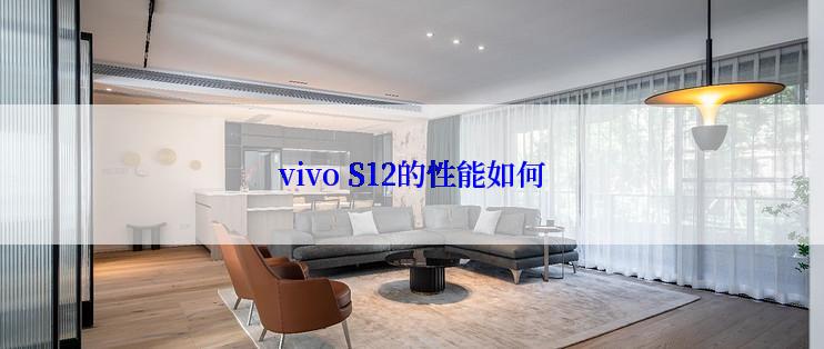 vivo S12的性能如何