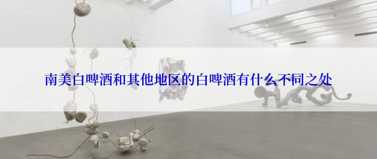 南美白啤酒和其他地区的白啤酒有什么不同之处