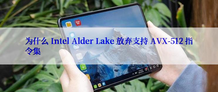 为什么 Intel Alder Lake 放弃支持 AVX-512 指令集