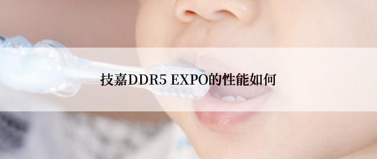 技嘉DDR5 EXPO的性能如何