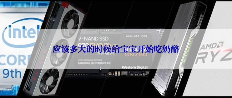 应该多大的时候给宝宝开始吃奶酪