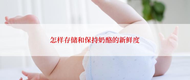 怎样存储和保持奶酪的新鲜度