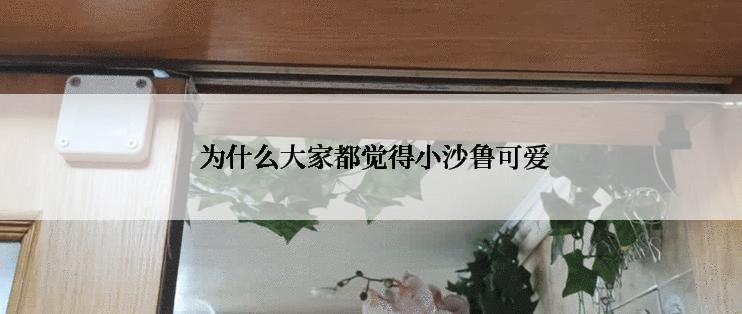  为什么大家都觉得小沙鲁可爱