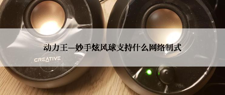 动力王—妙手炫风球支持什么网络制式