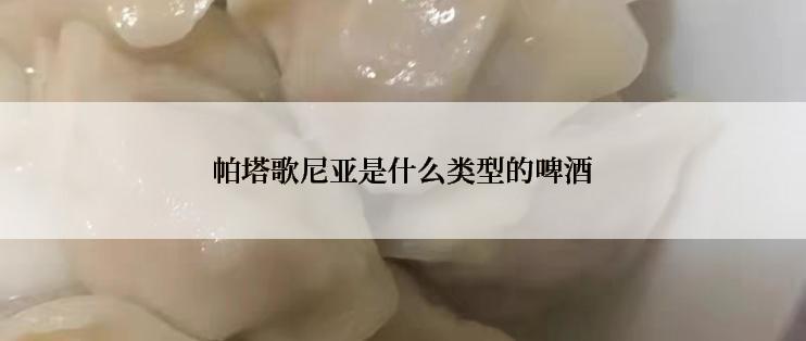 帕塔歌尼亚是什么类型的啤酒