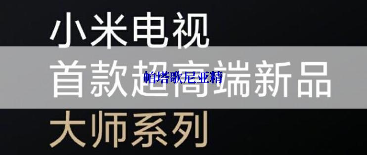 帕塔歌尼亚精