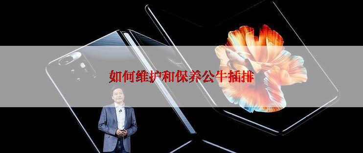 如何维护和保养公牛插排
