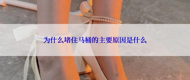为什么堵住马桶的主要原因是什么