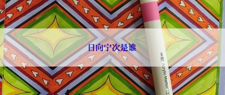 日向宁次是谁