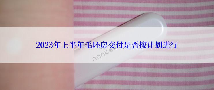 2023年上半年毛坯房交付是否按计划进行