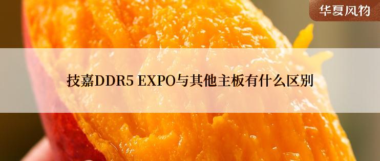 技嘉DDR5 EXPO与其他主板有什么区别