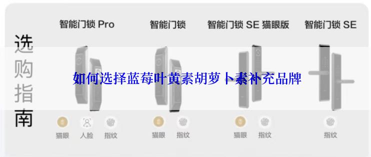  如何选择蓝莓叶黄素胡萝卜素补充品牌