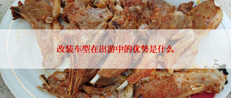 改装车型在出游中的优势是什么