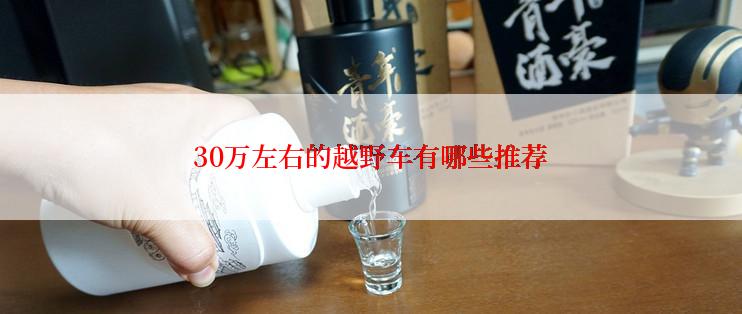 30万左右的越野车有哪些推荐