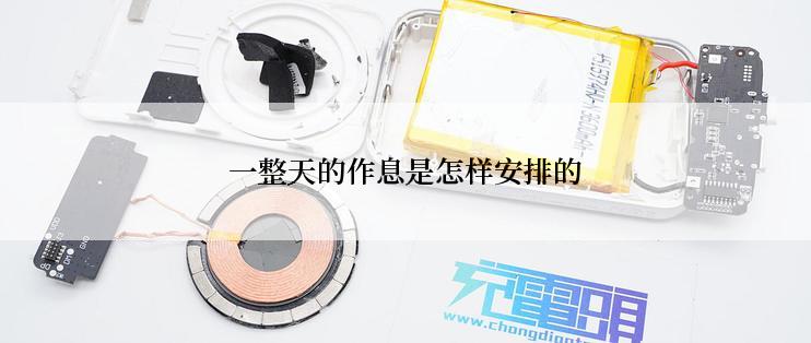 一整天的作息是怎样安排的