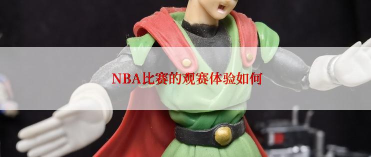  NBA比赛的观赛体验如何