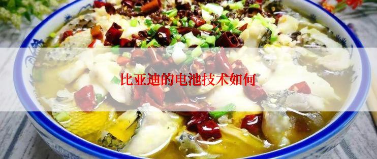 比亚迪的电池技术如何