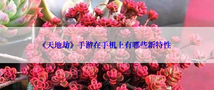 《天地劫》手游在手机上有哪些新特性