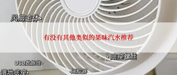 有没有其他类似的果味汽水推荐
