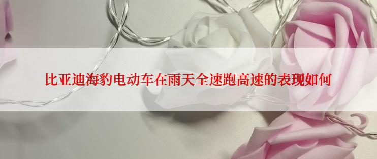 比亚迪海豹电动车在雨天全速跑高速的表现如何