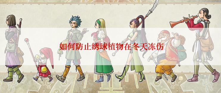  如何防止绣球植物在冬天冻伤