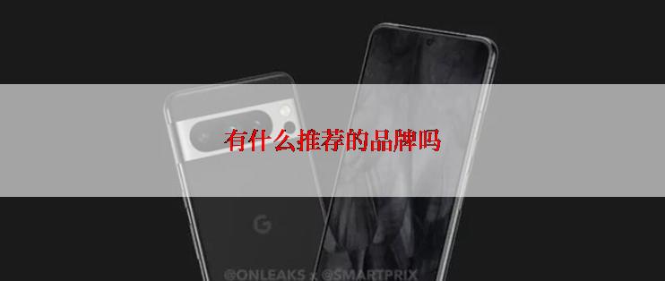 有什么推荐的品牌吗