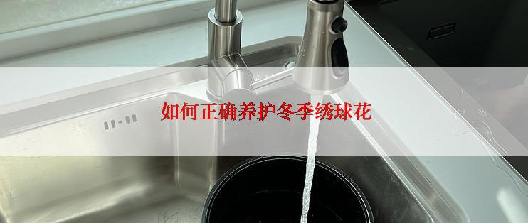  如何正确养护冬季绣球花