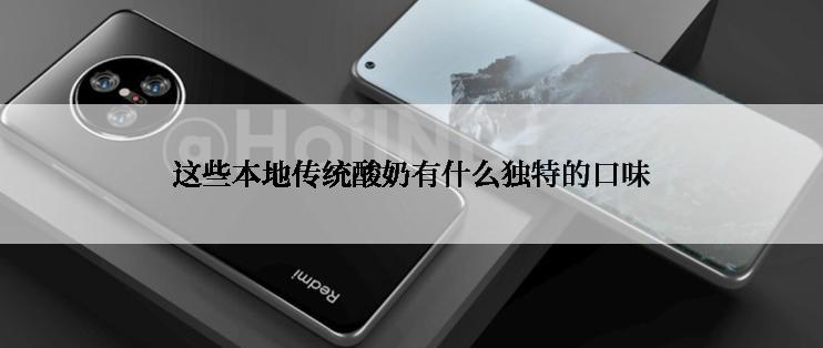 这些本地传统酸奶有什么独特的口味