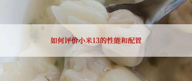如何评价小米13的性能和配置