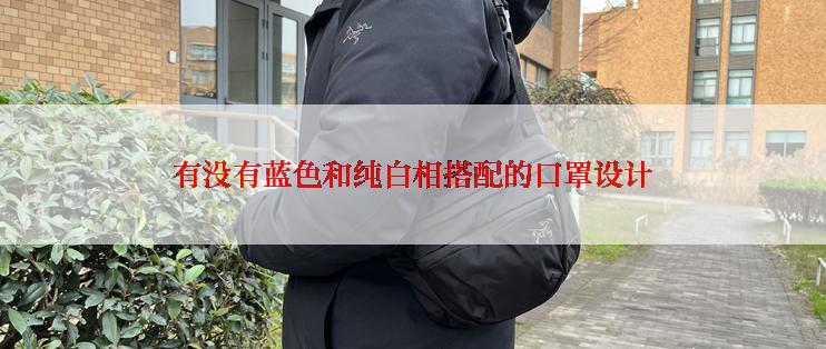 有没有蓝色和纯白相搭配的口罩设计