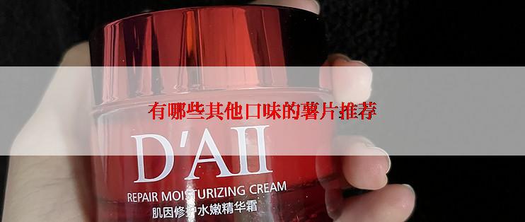 有哪些其他口味的薯片推荐