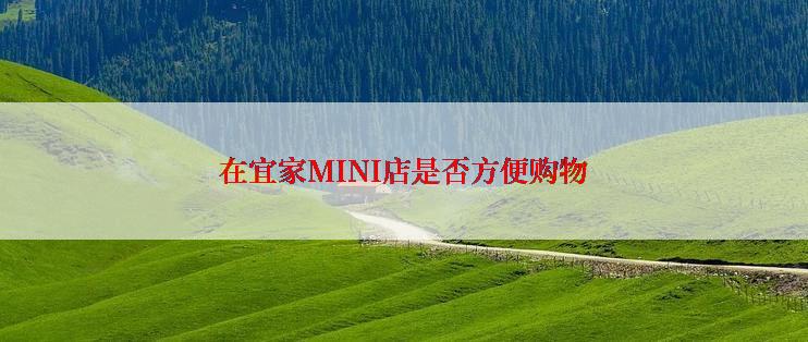 在宜家MINI店是否方便购物