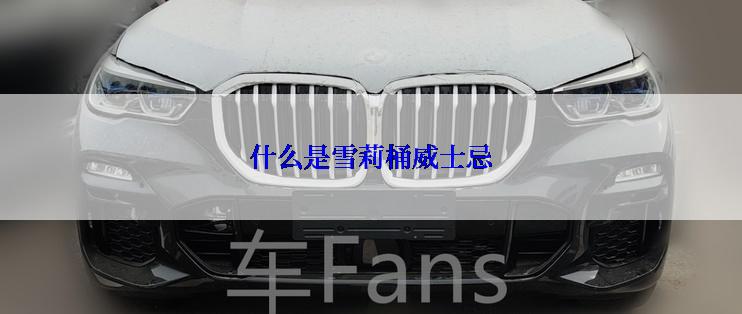 什么是雪莉桶威士忌