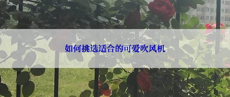 如何挑选适合的可爱吹风机