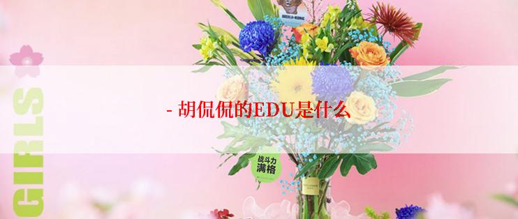 - 胡侃侃的EDU是什么